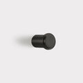 Small Brass Coat Hook in Black