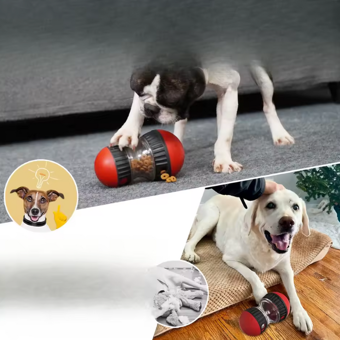 SmartFeed Puzzle Dog & Cat Toy
