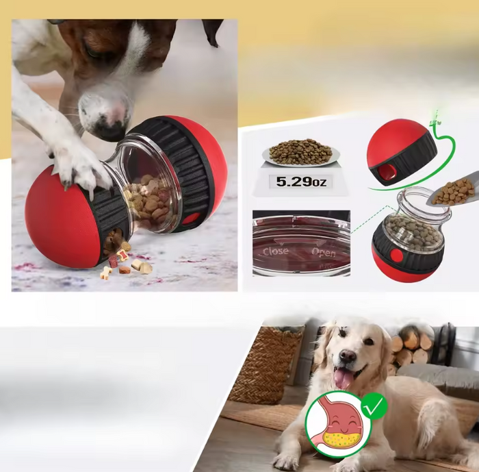 SmartFeed Puzzle Dog & Cat Toy