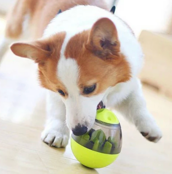 SmartTreat Ball