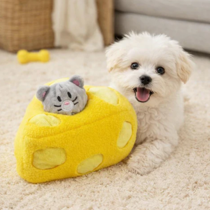 SnackSniff Dog Snuffle Mat