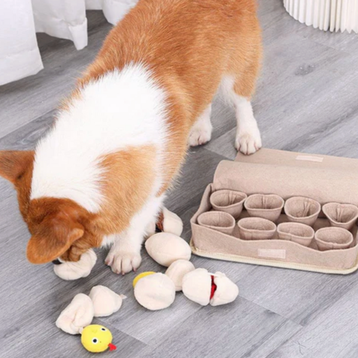 SniffNest Egg Toy