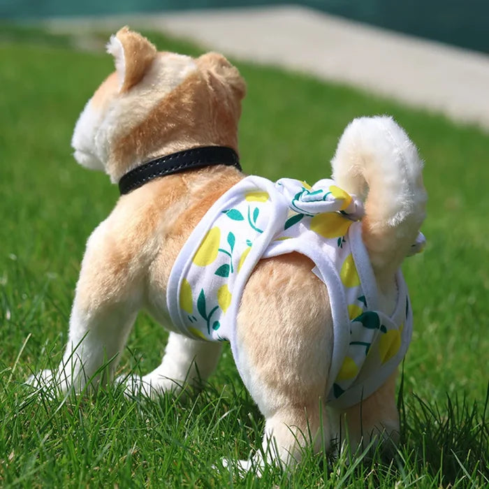 Soft-Flex Reusable Diaper
