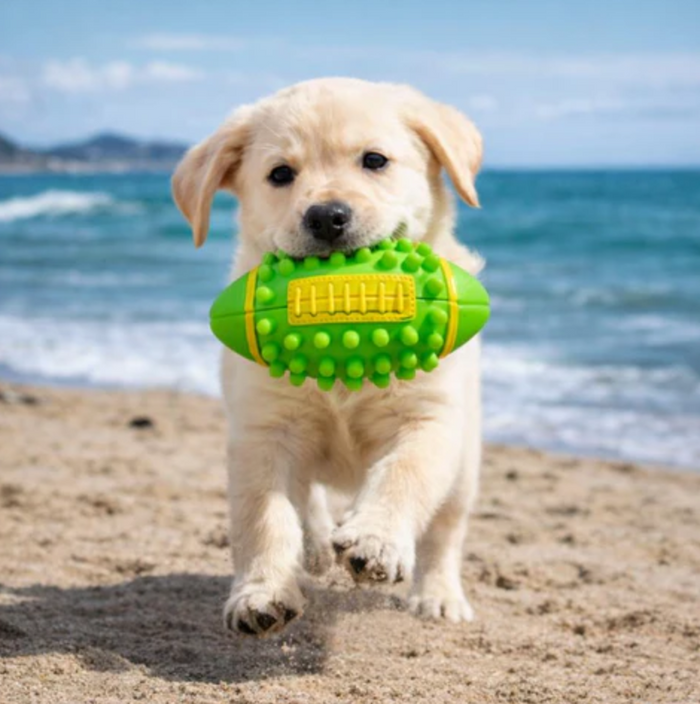 SpikeBone Dog Chew Toy