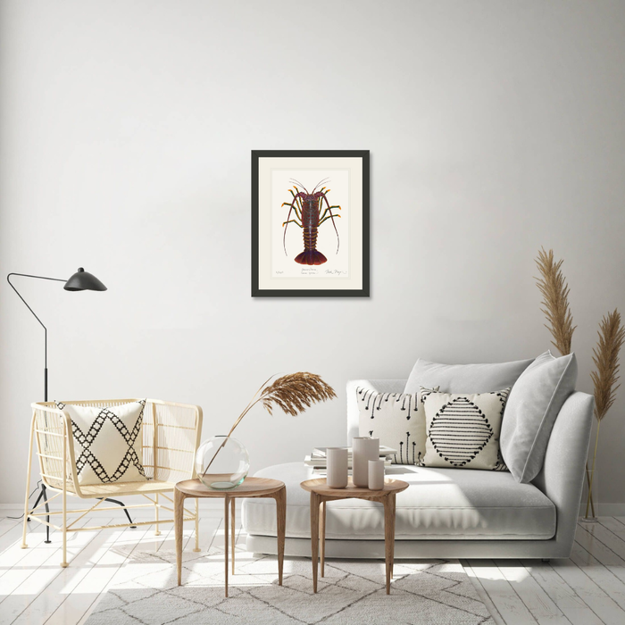Spiny Lobster I Limited Edition Print Nick Mayer