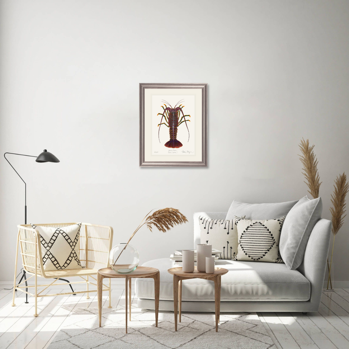 Spiny Lobster I Limited Edition Print Nick Mayer