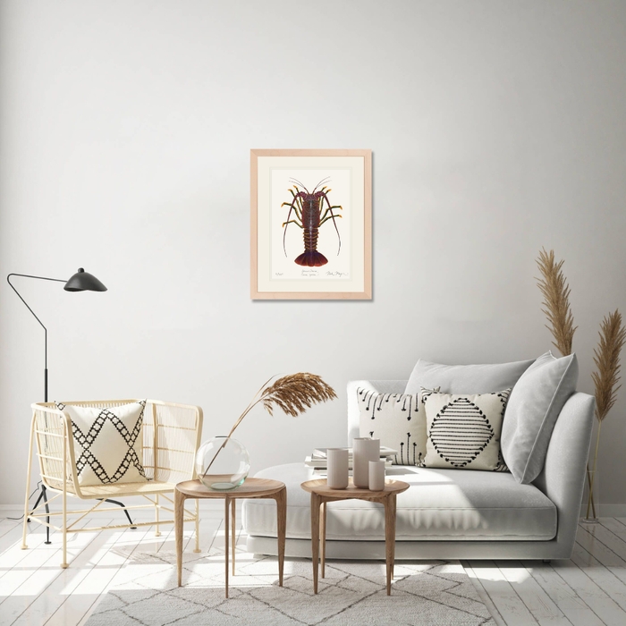 Spiny Lobster I Limited Edition Print Nick Mayer