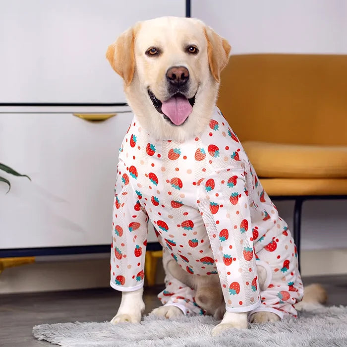 SunGuard UV Protection Dog Suit