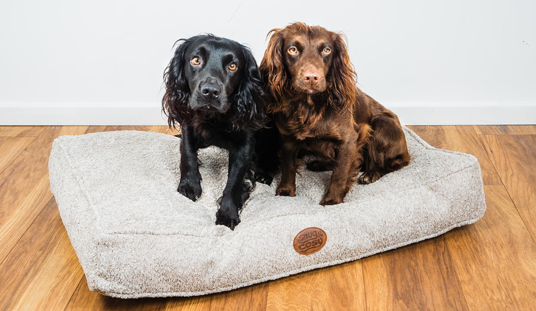 Teddy Boucle Luxurious Dog Lounger - Cat Beds for dogs Snug and Cosy Pets
