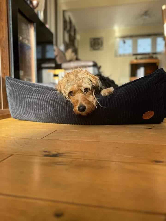 The San Remo Chunky Cord Dog Bed - Ultra Comfortable Cover Only - for dogs Snug and Cosy Pets