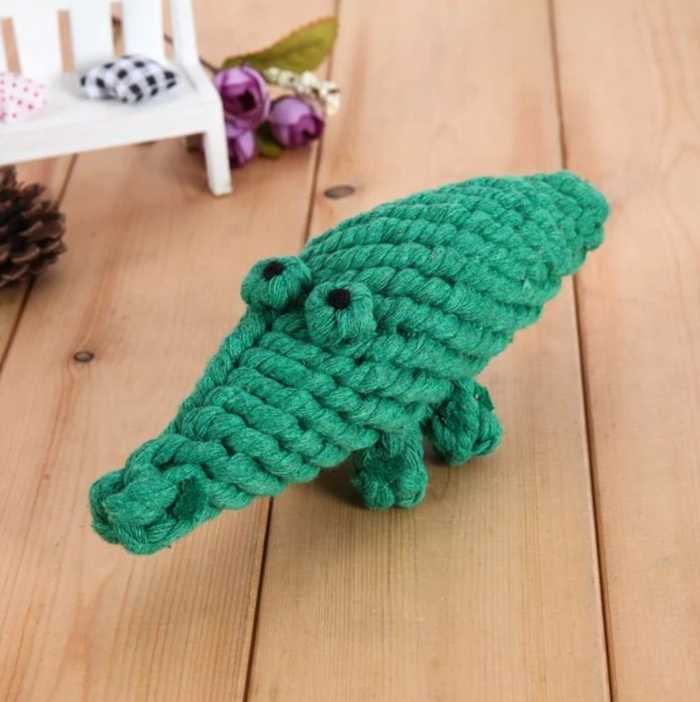 Crocodile