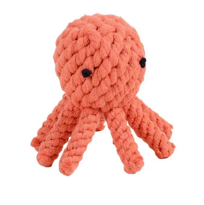 Octopus