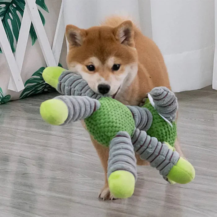 ToughTug Squeaky Plush Molar Toy