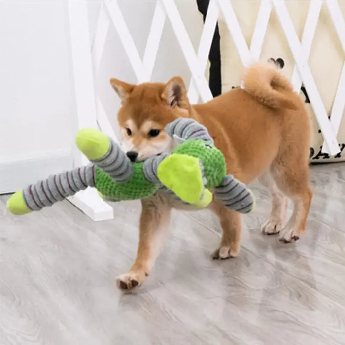 ToughTug Squeaky Plush Molar Toy