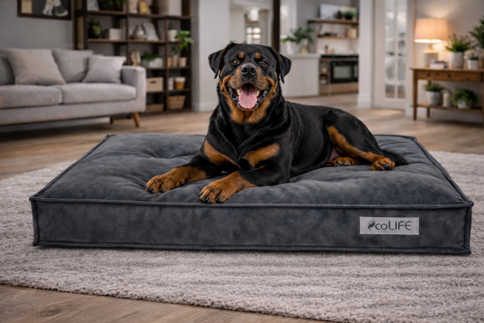 Transform Your Pet's Comfort with the Ecolife Eco Pet Lounger - Dog Beds & Loungers for dogs Snug and Cosy Pets