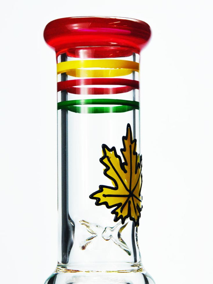 Tree Perc Rasta Bong