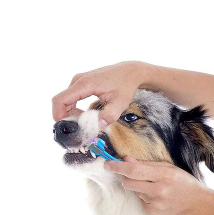 TripleClean Canine Toothbrush