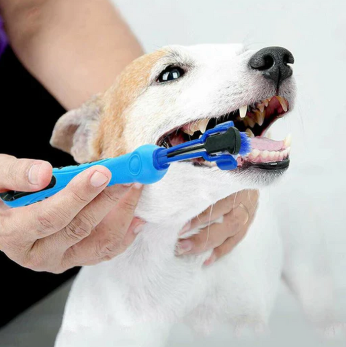 TripleClean Canine Toothbrush