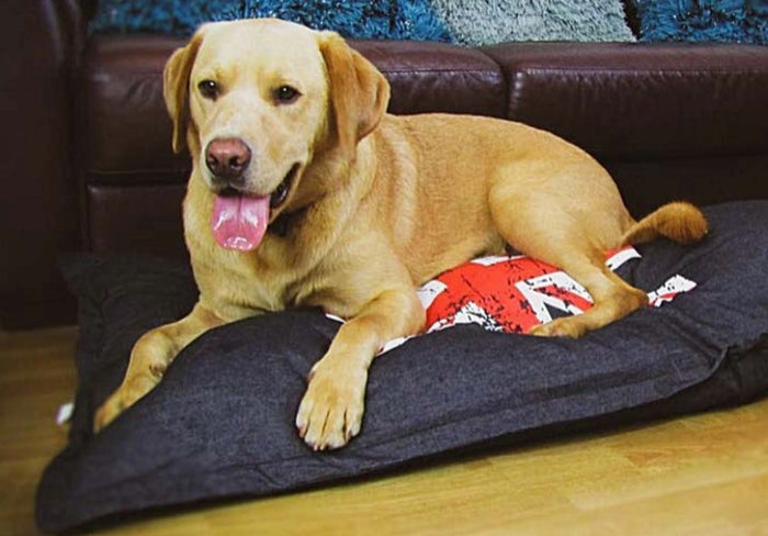 Union Jack Dog Bed: The Ultimate Cozy Lounger for Your Beloved Pet - Dog Beds & Loungers for dogs Snug and Cosy Pets