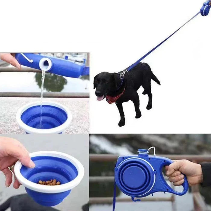 WalkWise 3-in-1 Dog Walk Companion