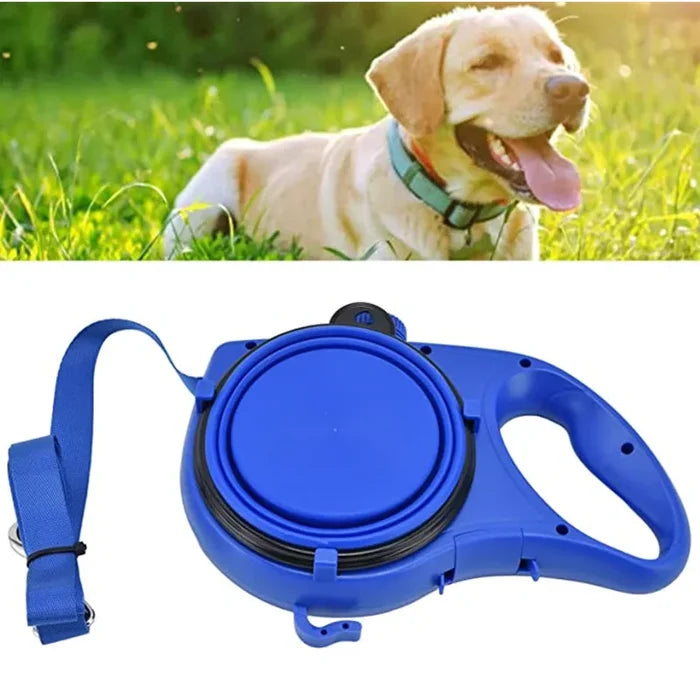 WalkWise 3-in-1 Dog Walk Companion