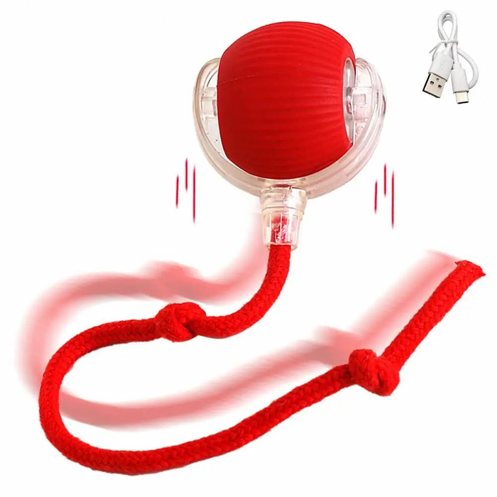 WhirlBird Interactive Cat Rolling Ball