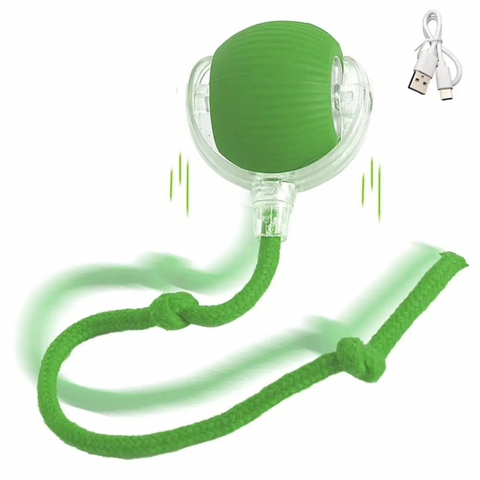 WhirlBird Interactive Cat Rolling Ball