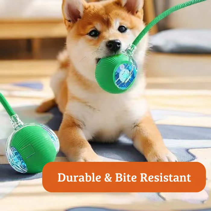 WhirlBird Interactive Cat Rolling Ball