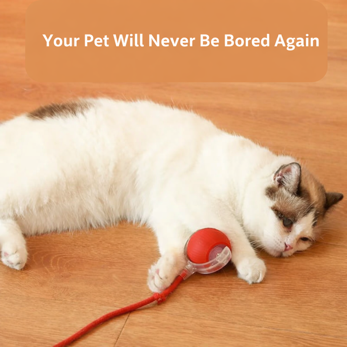 WhirlBird Interactive Cat Rolling Ball