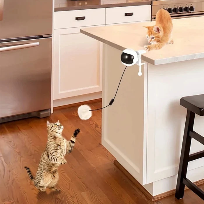WhirlMotion Electric Cat Teasing Ball