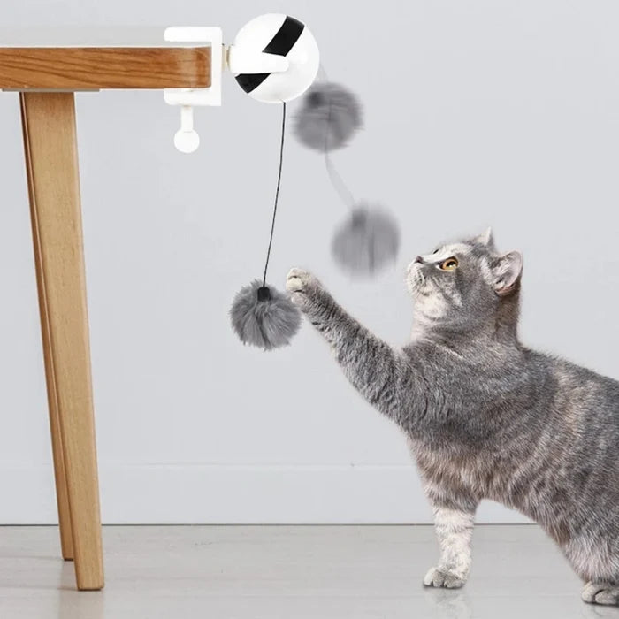 WhirlMotion Electric Cat Teasing Ball