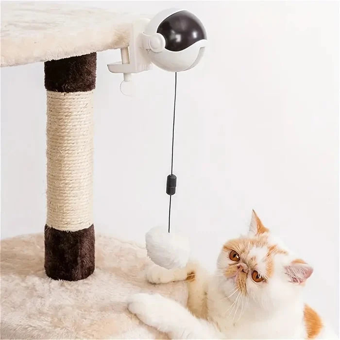WhirlMotion Electric Cat Teasing Ball