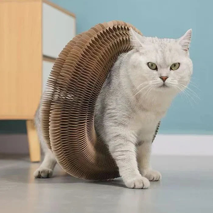 WhirlPlay Magic Interactive Cat Toy