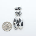 White Buffalo stone cabochons, white stone with black matrix, polished stones on a white background, with a US dime for scale