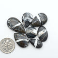White Buffalo stone cabochons, white stone with black matrix, polished stones on a white background, with a US dime for scale