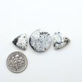 Natural White Buffalo Stone Cabochons are semi-precious gemstones cut into shapes ideal for jewelry-making, making them an excellent choice for artisans.