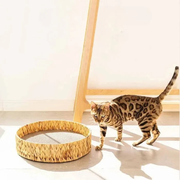 WillowDream – Wicker Cat Bed with Natural Sleeping Mat